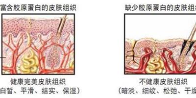 健康喝出來 30歲肌膚抗老化妙方