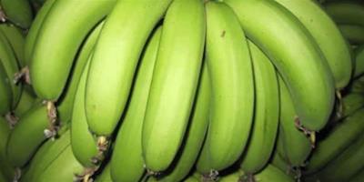水果豐胸 夏日香蕉塑身顯身材