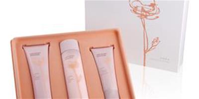 ARTISTRY雅姿2013基礎護理系列護膚品——滋潤套裝，給肌膚以全方位的滋養護理！