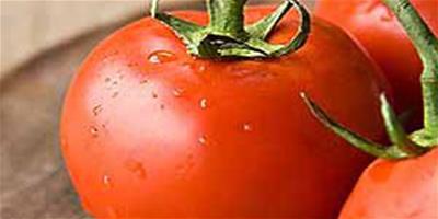 番茄+豆漿減肥法 讓燃脂效果翻倍