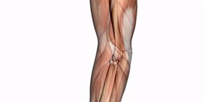 手部肌肉解剖圖展示 三大方法教你鍛煉手部肌肉