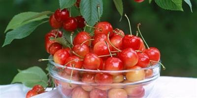 夏天吃什麼水果好 6腫美白保濕水果呵護你的肌膚
