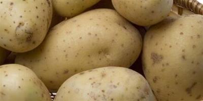 土豆祛斑的正確方法有哪些？ 幾個秘訣為你打造淨白肌膚
