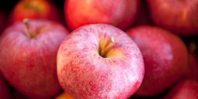 學生早上晚上吃什麼水果能瘦身呢 三日蘋果減肥法