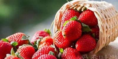 吃什麼水果能減肥？針對瘦身部位選擇水果吃法！