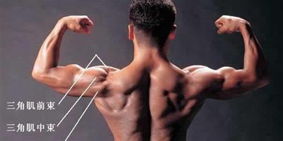 解說三角肌後束伸展原理 教你如何最有效鍛煉它