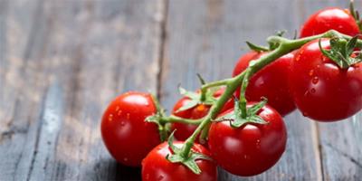夏季番茄減肥法 讓你甜蜜變瘦