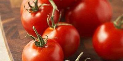 番茄豆漿組合 燃脂減肥吃著瘦