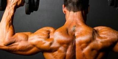 教你怎麼練手臂肌肉最有效 讓你在家也能練出發達手臂肌肉