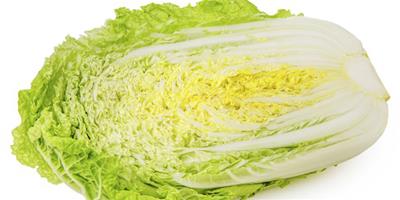 白菜減肥法 一周瘦10斤