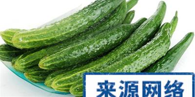 夏日易上火 推薦8種食物滋補又降火