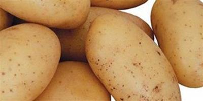 土豆敷臉的作用有哪些 5大功效教你用土豆美容保健
