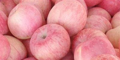 蘋果的熱量是多少 21種負卡路里食品讓你越吃越瘦