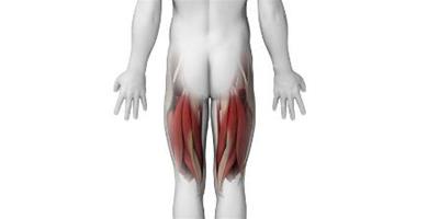大腿內收肌鍛煉好處有哪些 告訴你鍛煉大腿肌肉的動作要領