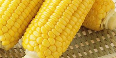 減肥期間晚上可以吃玉米嗎 排毒減肥狂瘦就靠它