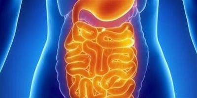 女生腹部內臟圖簡介 幾個秘訣幫你清腸排毒