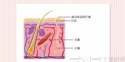 脫腋毛對排汗有影響嗎 揭秘脫腋毛對身體有無影響