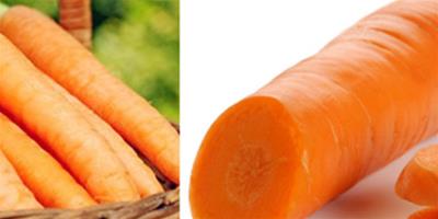 正確使用胡蘿蔔減肥方法 讓你燃脂一整夏