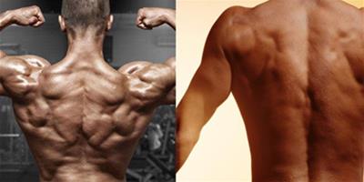 背部肌肉鍛煉方法 3個動作讓你擁有健碩身材