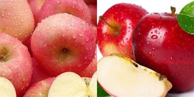 蘋果減肥法有效果嗎 讓你3天快速瘦下來
