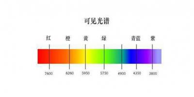 exideal大排燈原理 揭露大排燈的真實身份