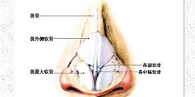 耳軟骨隆鼻後注意事項 做好這7件小事才能擁有水滴鼻尖