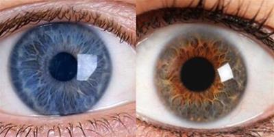 告訴你瞳孔放大的原因 瞭解這些從眼睛辨別真假