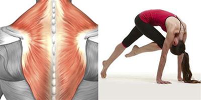 斜方肌中下束拉伸動作 簡單方法告別肌肉酸痛