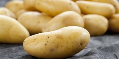 吃水煮土豆會胖嗎 這樣烹飪好處多多