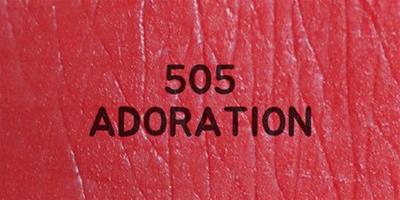 蘭蔻505是什麼顏色 蘭蔻505適合黃皮嗎試色圖片
