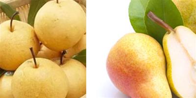 早上吃梨子能減肥麼 這幾種健康瘦身的食物搭配你知道嗎