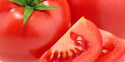 想要瘦身 可以吃西紅柿減肥嗎？