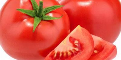 吃西紅柿可以減肥嗎 試試西紅柿減肥法