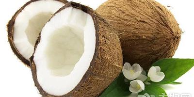椰子和酪梨是兩種非常有益皮膚的水果