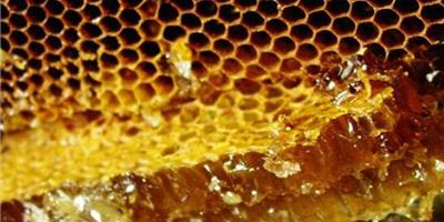 ​蜂膠擦臉能祛痘嗎