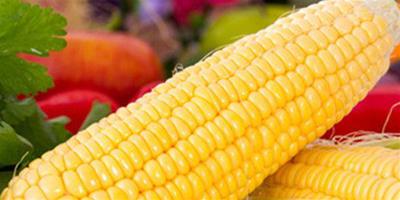 玉米怎麼吃減肥 盤點可以減肥的妙招