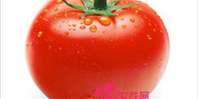 最美食物！番茄是你的最愛嗎？