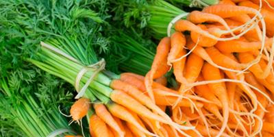 胡蘿蔔可以減肥嗎 推薦3種胡蘿蔔減肥食譜