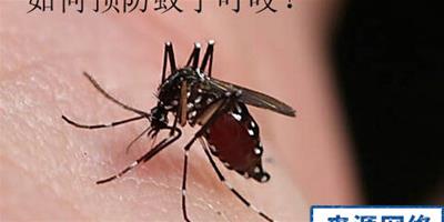 被蚊子咬了怎麼止癢