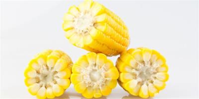 吃玉米可以減肥嗎 推薦4道玉米減肥食譜