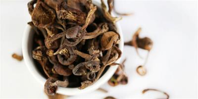茶樹菇可以減肥嗎 茶樹菇的熱量