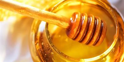 怎麼吃蜂蜜可以減肥？ 三天利用蜂蜜減肥法大曝光
