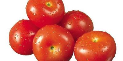 番茄美容又瘦身 三款食譜做個瘦美人