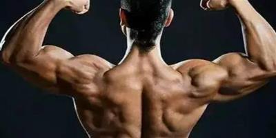 經典肌肉鍛煉方式有哪些 7大經典力量訓練動作教給你