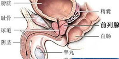 秋季男性提防前列腺疾病