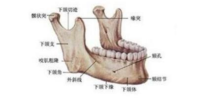 下頜角磨削的特點有哪些 6個術前注意事項須知道