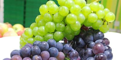 葡萄紅石榴桑葚 排毒+抗氧化水果