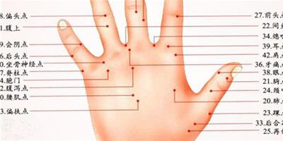 欣賞人體手背穴位圖 為你普及穴位相關知識