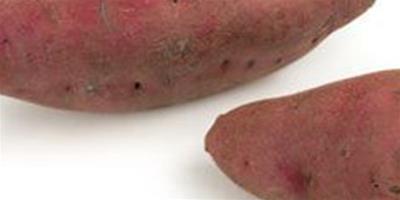 減肥能吃紅薯還是紫薯效果好 揭秘夏季最科學有效的減肥方法