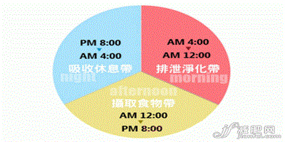 搞清消化時間段 營養減肥健康瘦